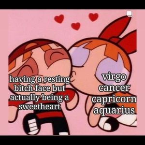 Meet your Posher, Priscilla